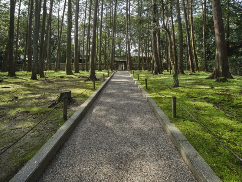 唐招提寺