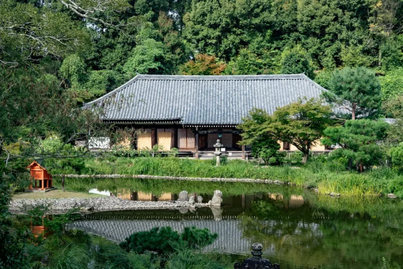 会いに行ける｢美仏｣京都木津川古寺巡礼