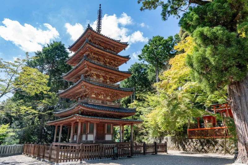 会いに行ける｢美仏｣京都木津川古寺巡礼　海住山寺（かいじゅうせんじ）