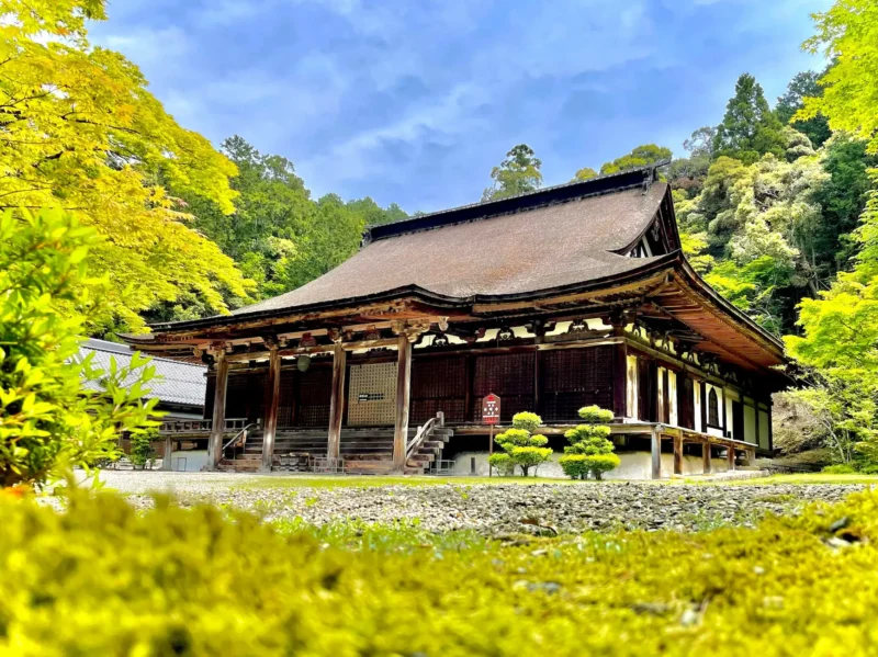 湖東三山 西明寺 ご案内付き 特別拝観/EX旅先予約